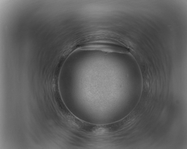 X0000062610551200512230922