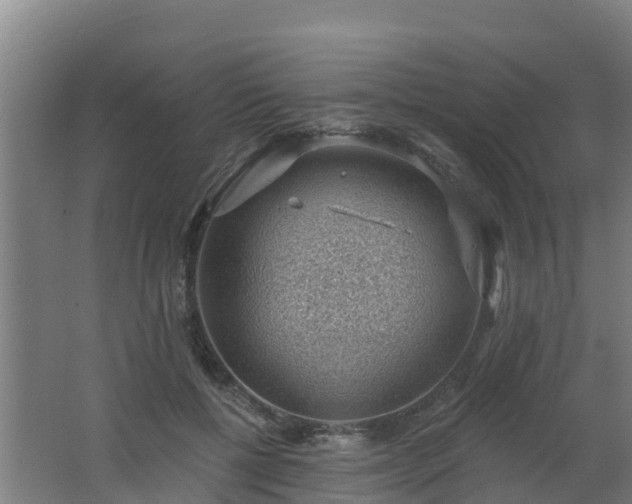 X0000062610552200512230922