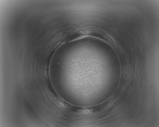 X0000062610553200512230922