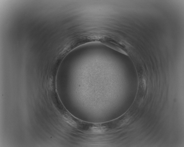 X0000062610556200512230922