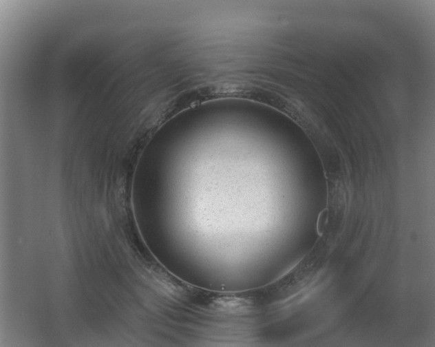 X0000062610557200512230922