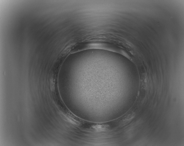 X0000062610558200512230923