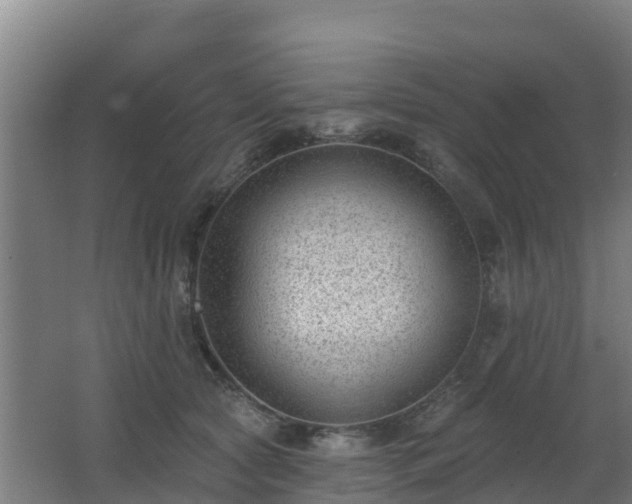 X0000062610561200512230923