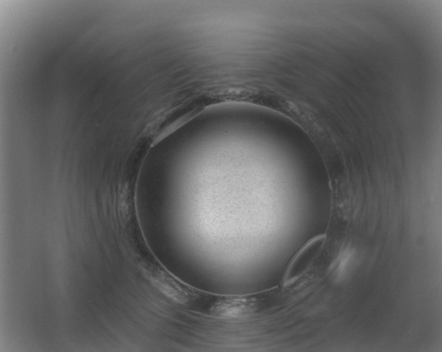 X0000062610563200512230923