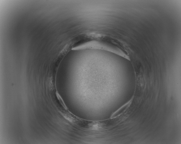 X0000062610564200512230923