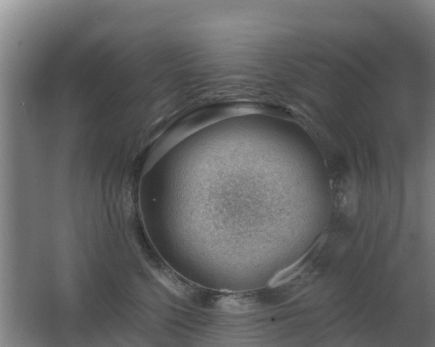 X0000062610568200512230923