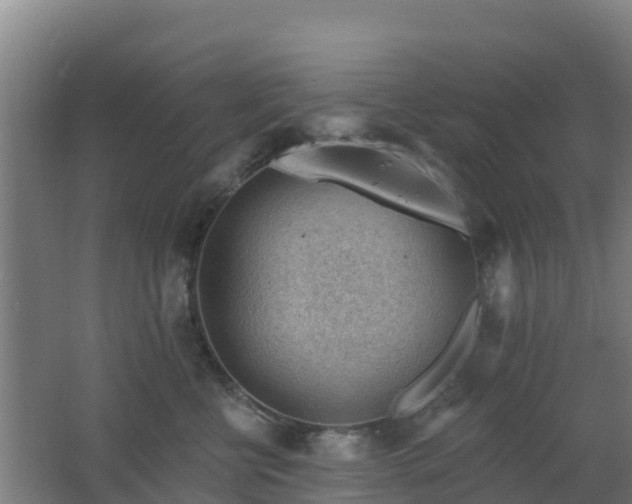 X0000062610570200512230923