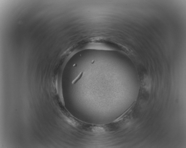 X0000062610572200512230923