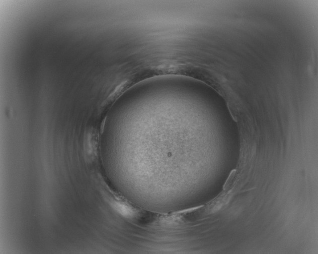 X0000062610576200512230923