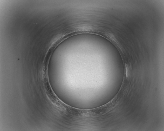 X0000062610579200512230922