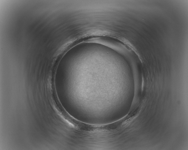 X0000062610581200512230922