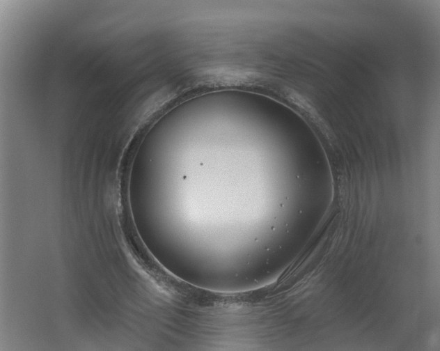 X0000062610582200512230922