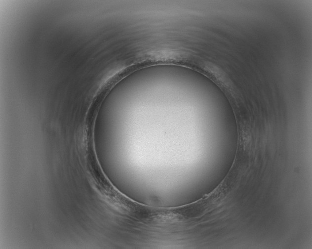 X0000062610583200512230922