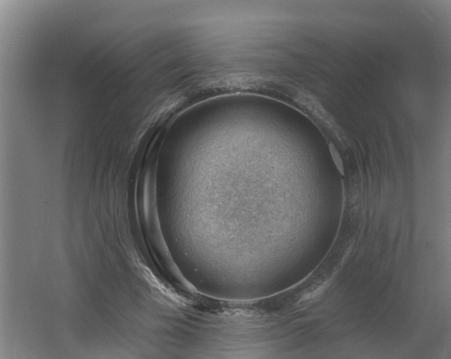 X0000062610585200512230922