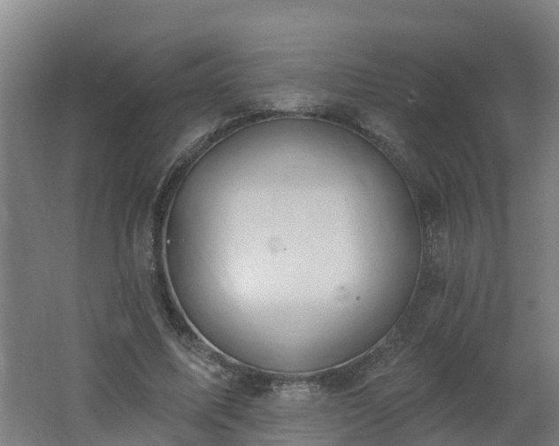 X0000062610587200512230922