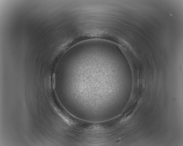 X0000062610589200512230922