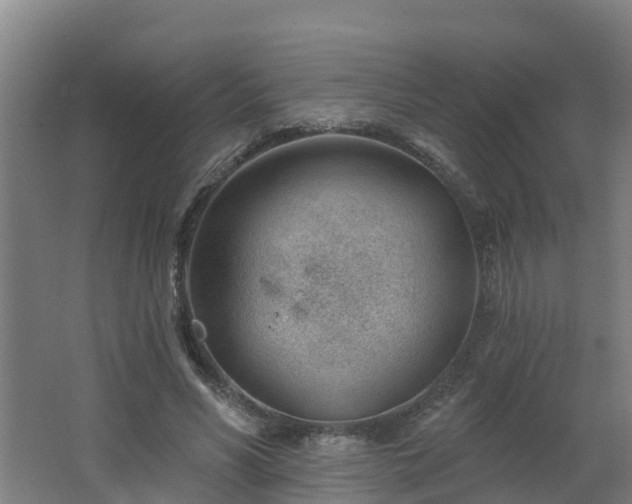 X0000062610590200512230922