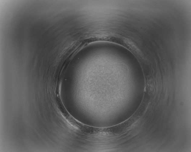 X0000062610593200512230922