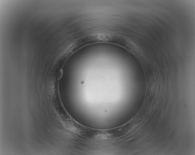 X0000062610595200512230921