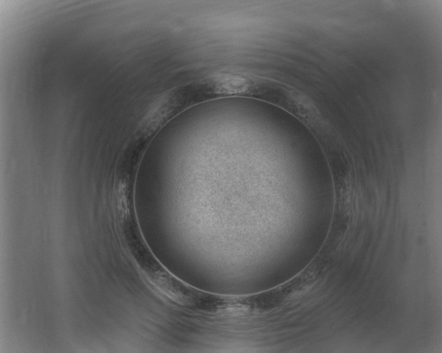 X0000062610598200512230921