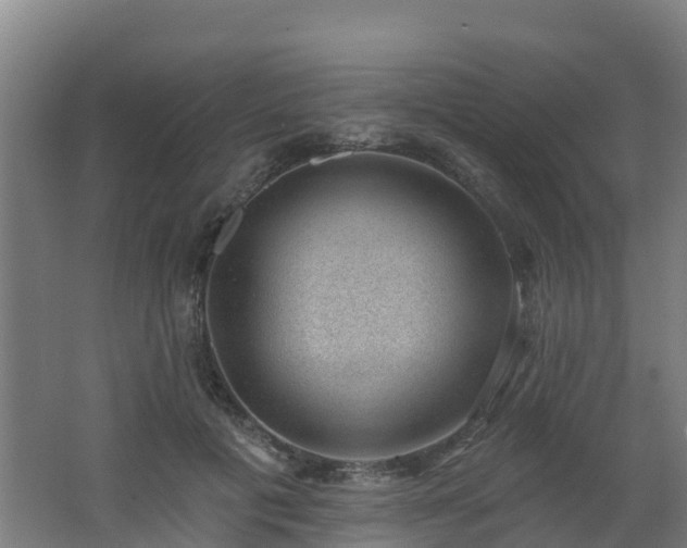 X0000062610601200512230921