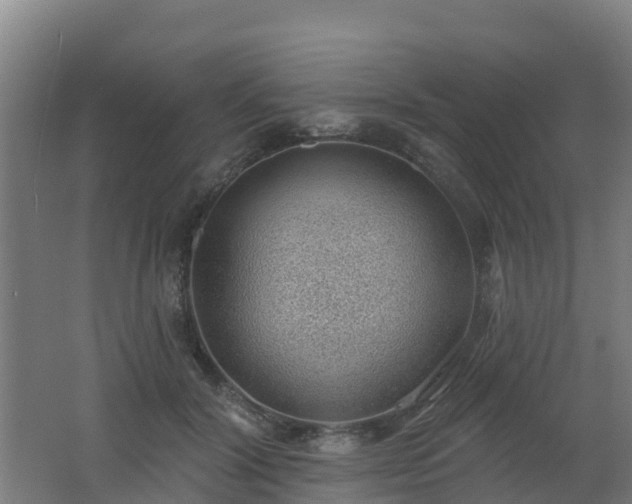 X0000062610604200512230921