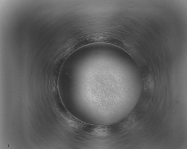 X0000062610606200512230921