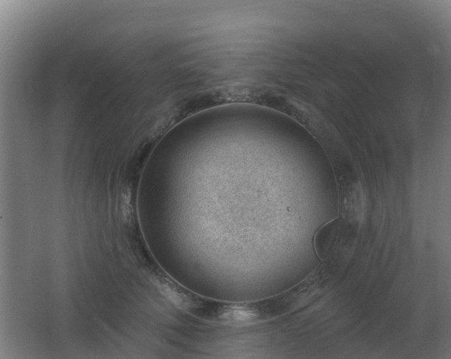 X0000062610610200512230921