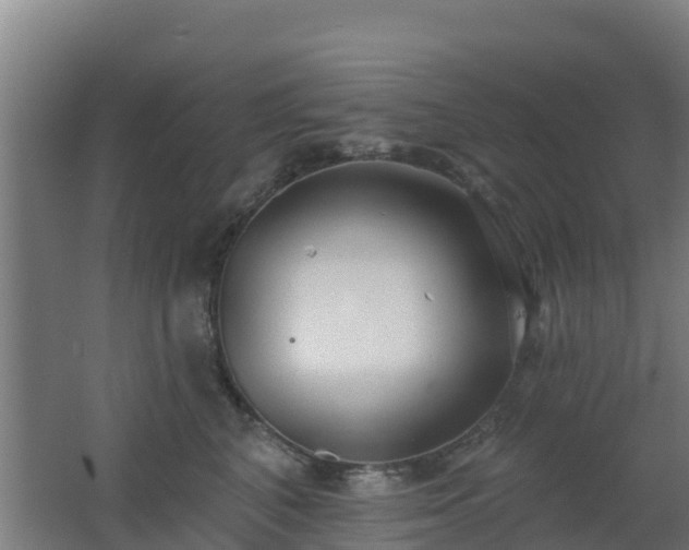 X0000062610616200512230921