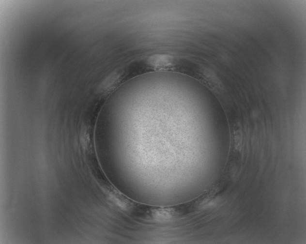 X0000062610618200512230921