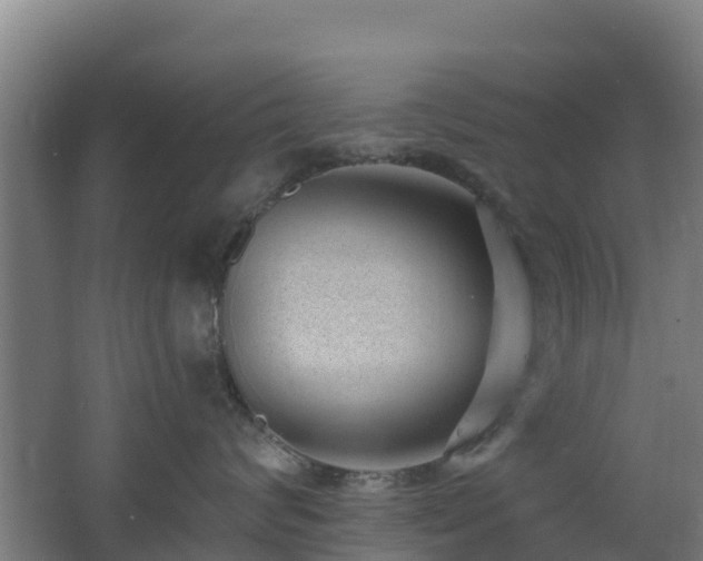 X0000062610624200512230921