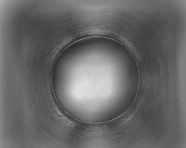 X0000062610625200512230920