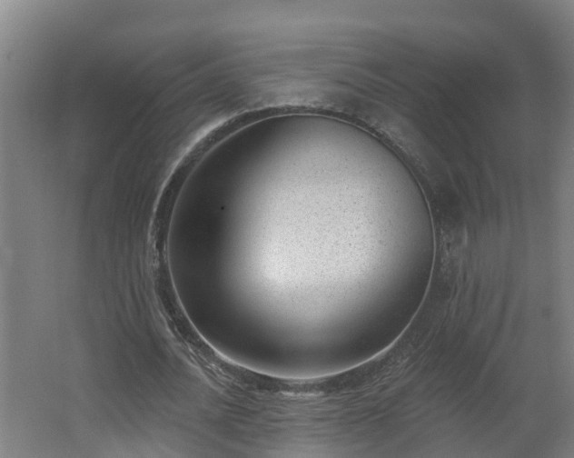 X0000062610628200512230920