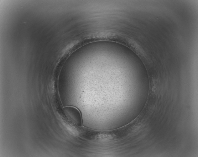 X0000062610636200512230920