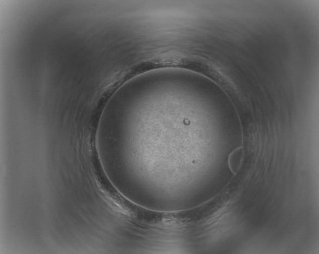 X0000062610641200512230920