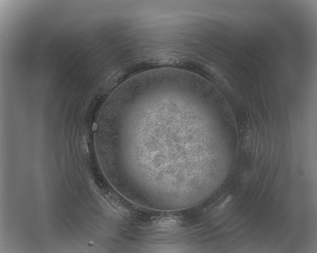 X0000062610643200512230920