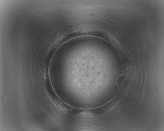 X0000062610644200512230920