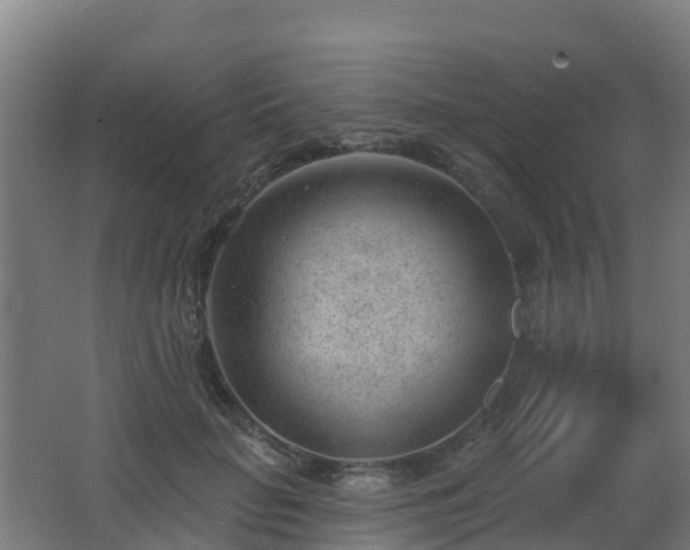 X0000062610653200512230921