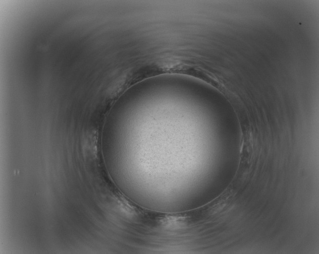 X0000062610664200512230921