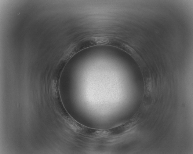 X0000062610667200512230921