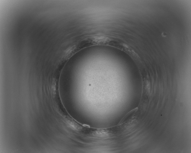 X0000062610668200512230921