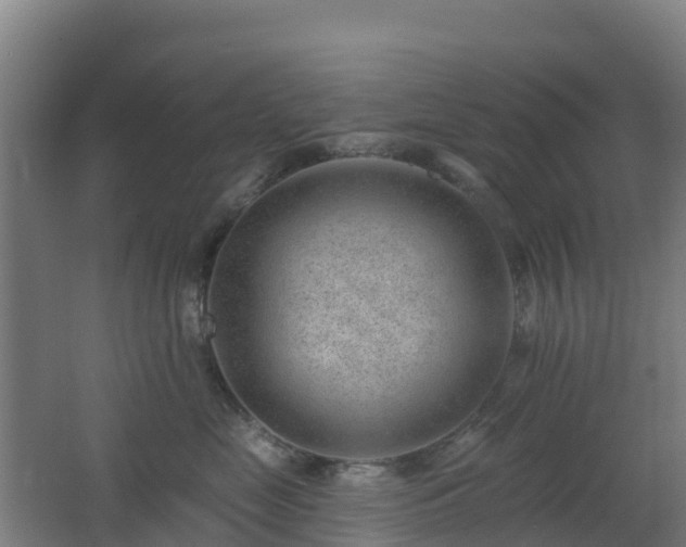 X0000062610669200512230921