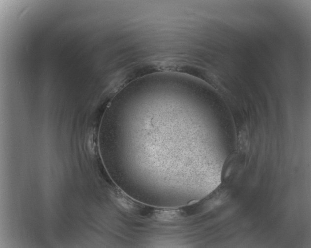 X0000062610671200512230921