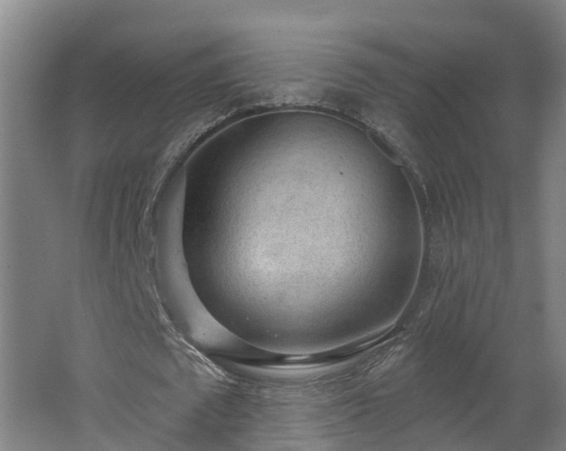 X0000062610673200512230920