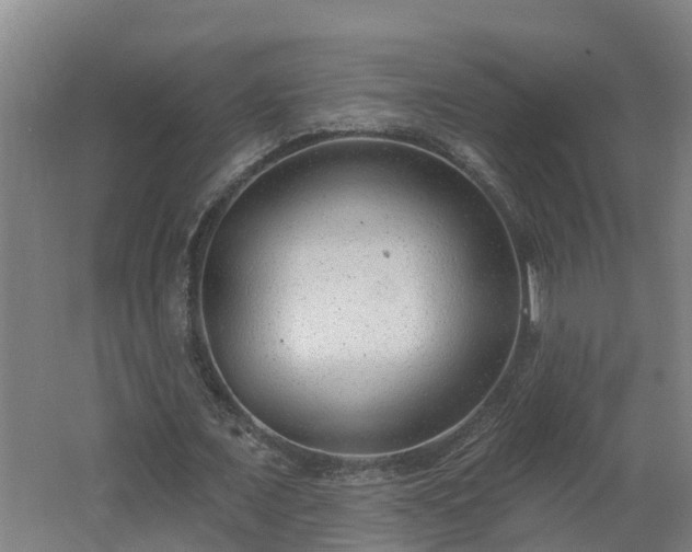 X0000062610675200512230920