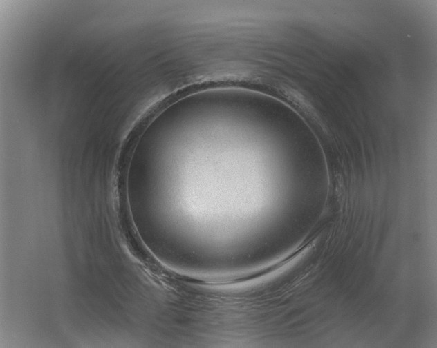 X0000062610676200512230920