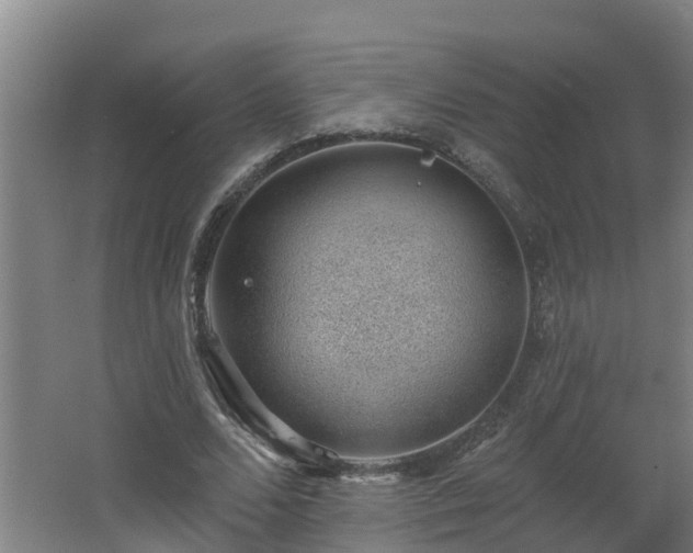 X0000062610680200512230920