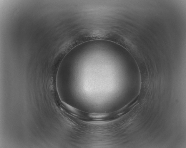 X0000062610689200512230920