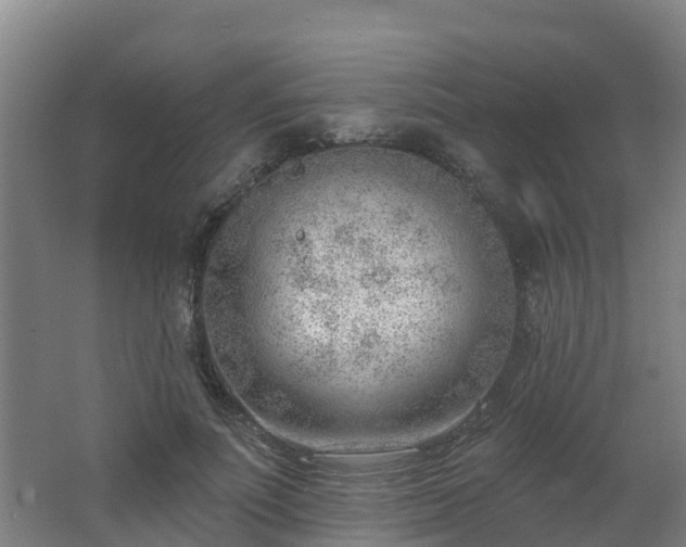 X0000062610691200512230920