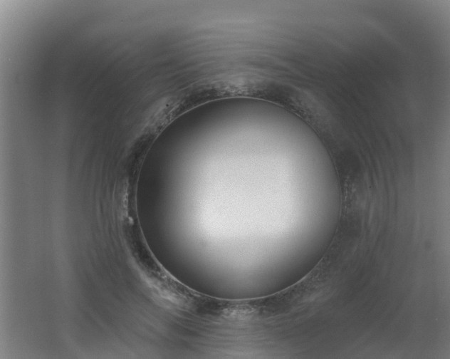 X0000062610694200512230920